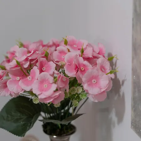 Apartman La Casa Di Pireess