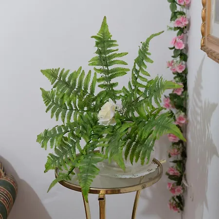 Apartamento La Casa Di Pireess